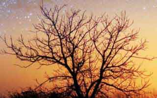 抖音粉1000怎么开橱窗，抖音开通橱窗如何涨1000粉