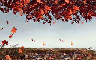 抖音粉1000怎么开橱窗，抖音开通橱窗如何涨1000粉