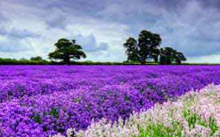 抖音自助下单平台，轻松点击即享涨粉乐趣。