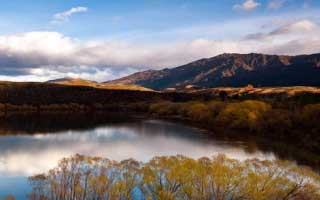 网红24小时自助下单