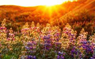 抖音自助下单平台，涨粉新风尚。