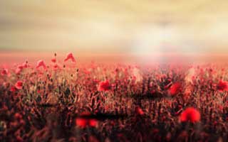 抖音自助下单平台，轻松涨粉新体验！一键操作，方便快捷！